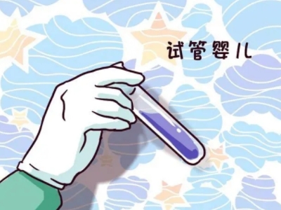 专家